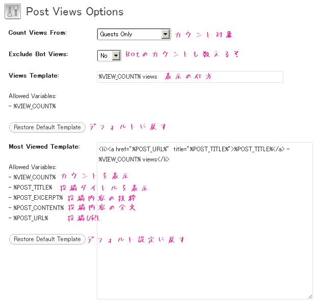 WP-PostViewsの設定画面の解説画像